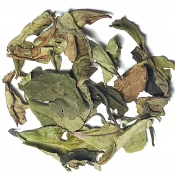 Pai Mu Tan (50g)